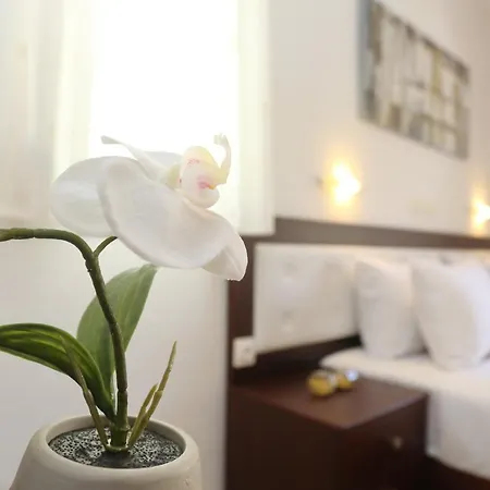 Magda Maria Apartament *